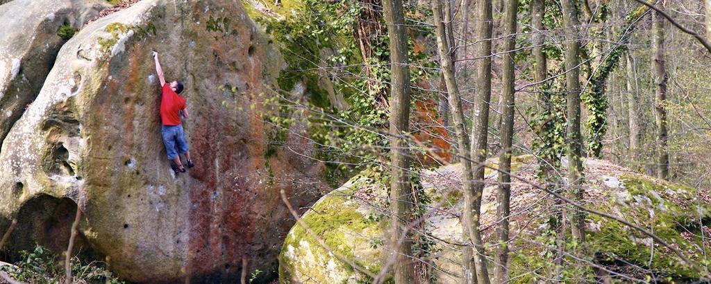 Fontainebleau Sweet Home Ngoại thất bức ảnh
